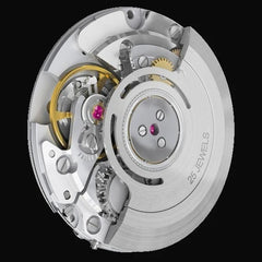 Elvia 1950s patroon 25 juwelen automatisch, 200m waterbestendig horloge met retro lichtgevende verf, saffierglas en een retro 1950s stijl armband